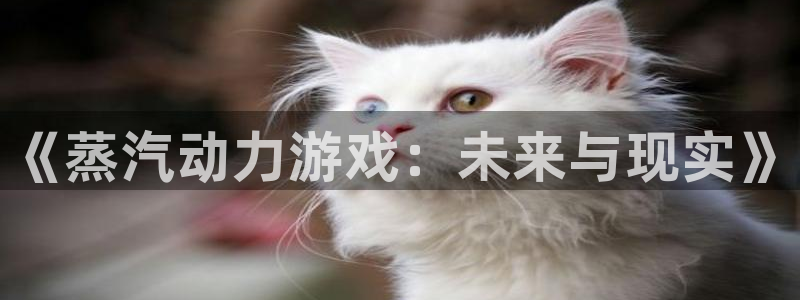 手机天美娱乐下载安装：《蒸汽动力游戏：未来与现实》