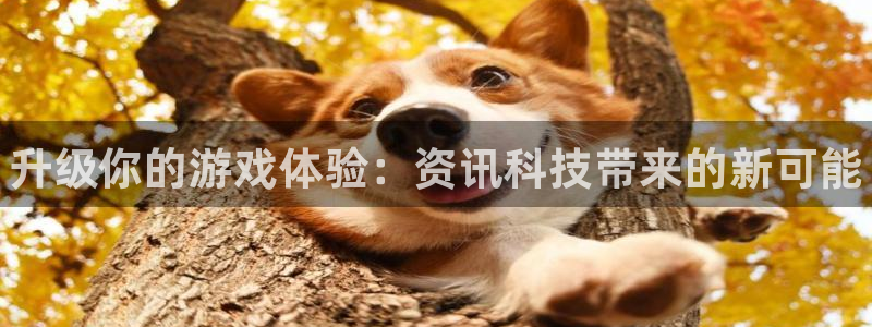 天美娱乐注册登录：升级你的游戏体验：资讯科技带来的新可能