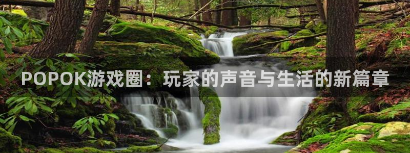 天美娱乐4开户：POPOK游戏圈：玩家的声音与生活的新篇章