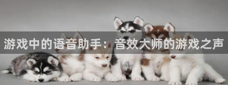 天美娱乐注册账号：游戏中的语音助手：音效大师的游戏之声