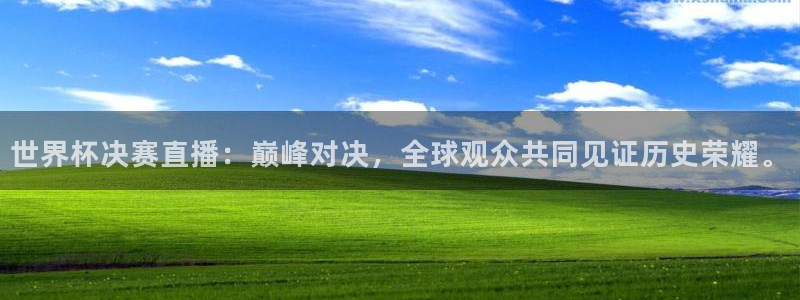 919体育直播在线观看：世界杯决赛直播：巅峰对决，全球观众共同见证历史荣耀。
