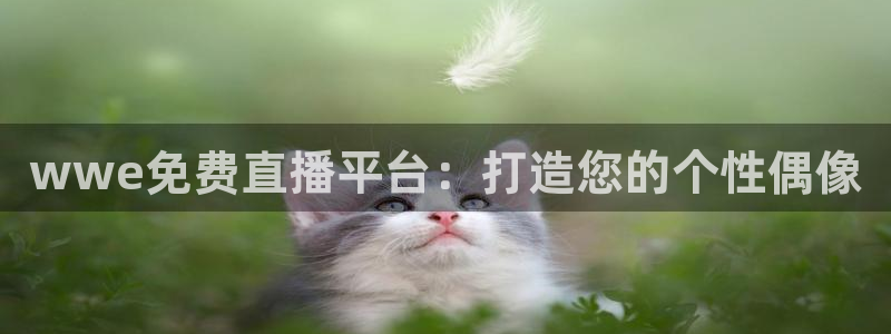 919球赛直播：wwe免费直播平台：打造您的个性偶像