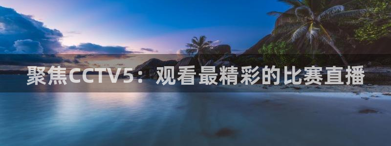 919看球直播app：聚焦CCTV5：观看最精彩的比赛直播