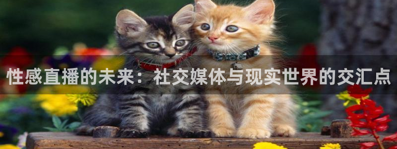 919球赛直播：性感直播的未来：社交媒体与现实世界的交汇点