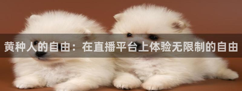 919体育直播高清在线观看：黄种人的自由：在直播平台上体验无限制的自由