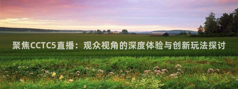 919nba直播：聚焦CCTC5直播：观众视角的深度体验与创新玩法探讨