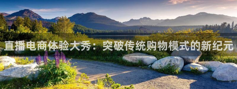 919体育直播下载：直播电商体验大秀：突破传统购物模式的新纪元