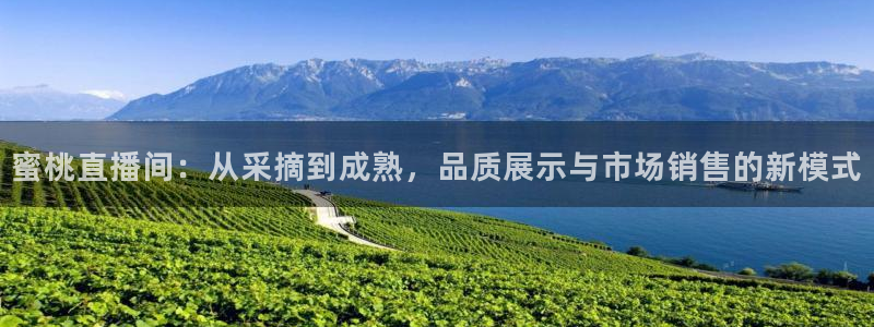 919体育直播下载：蜜桃直播间：从采摘到成熟，品质展示与市场销售的新模式
