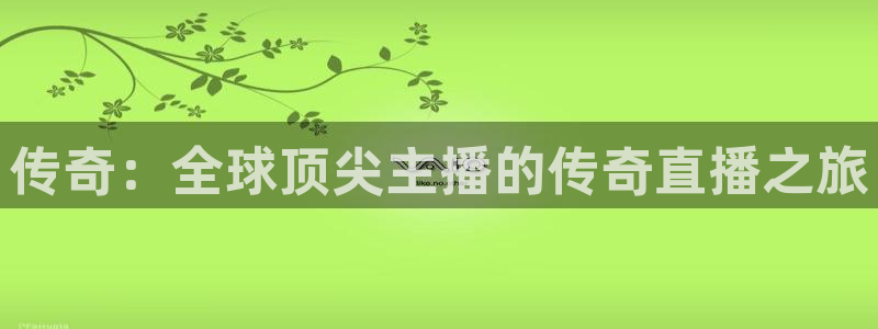 919体育在线直播官网：传奇：全球顶尖主播的传奇直播之旅