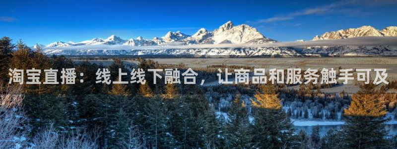 919体育直播间在线看：淘宝直播：线上线下融合，让商品和服务触手可及