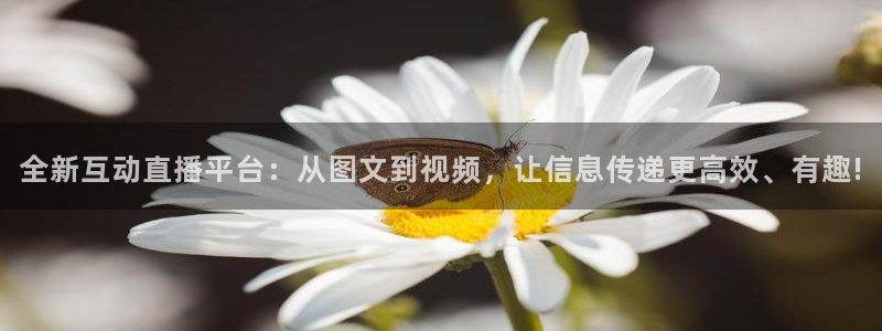 919直播看球 篮球比赛：全新互动直播平台：从图文到视频，让信息传递更高效、有趣!