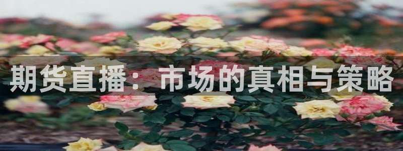 919直播吧体育：期货直播：市场的真相与策略